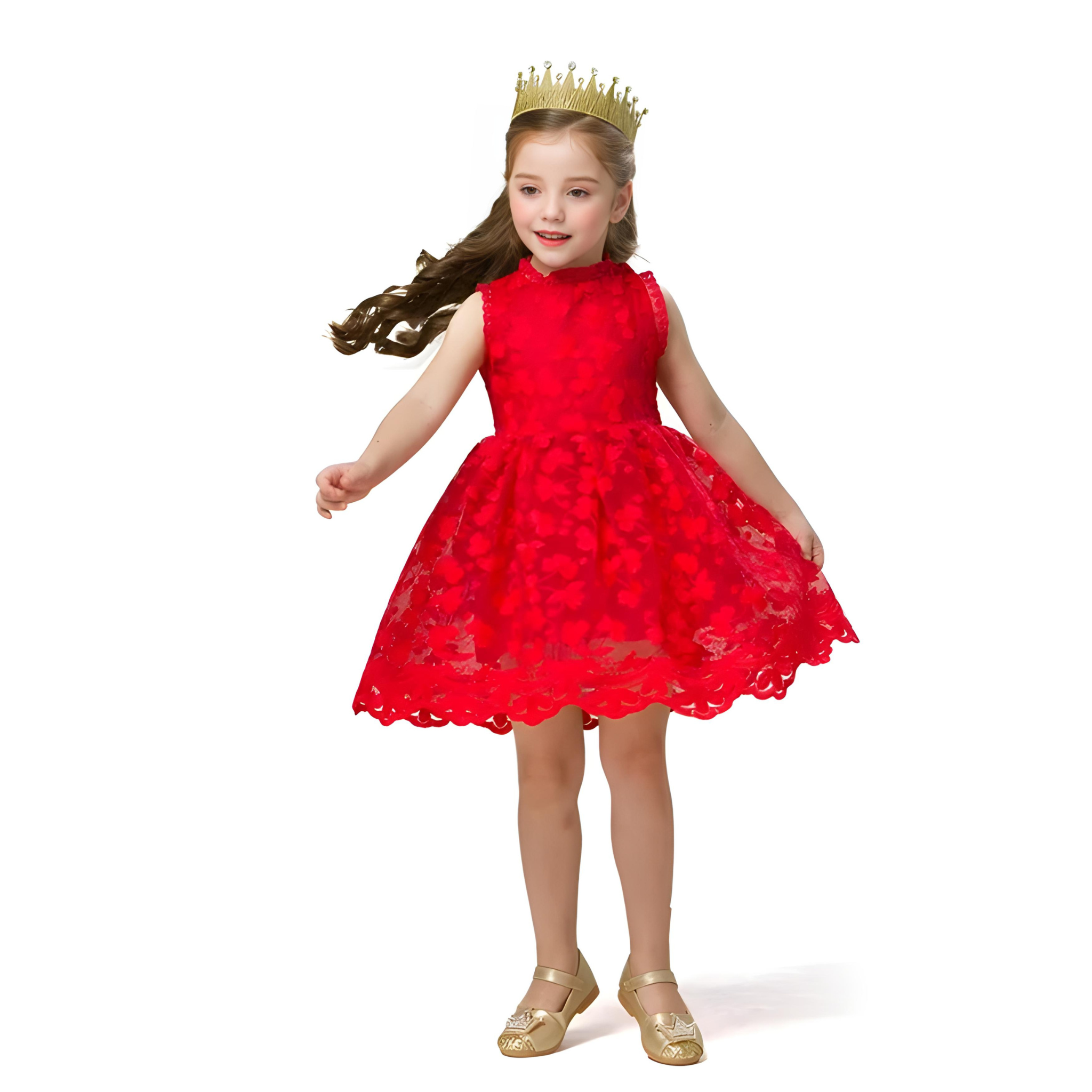  Lace Tutu Flower Mesh Long Sleeve Dress - Girls' Spring Summer Party Dress for Special Occasions