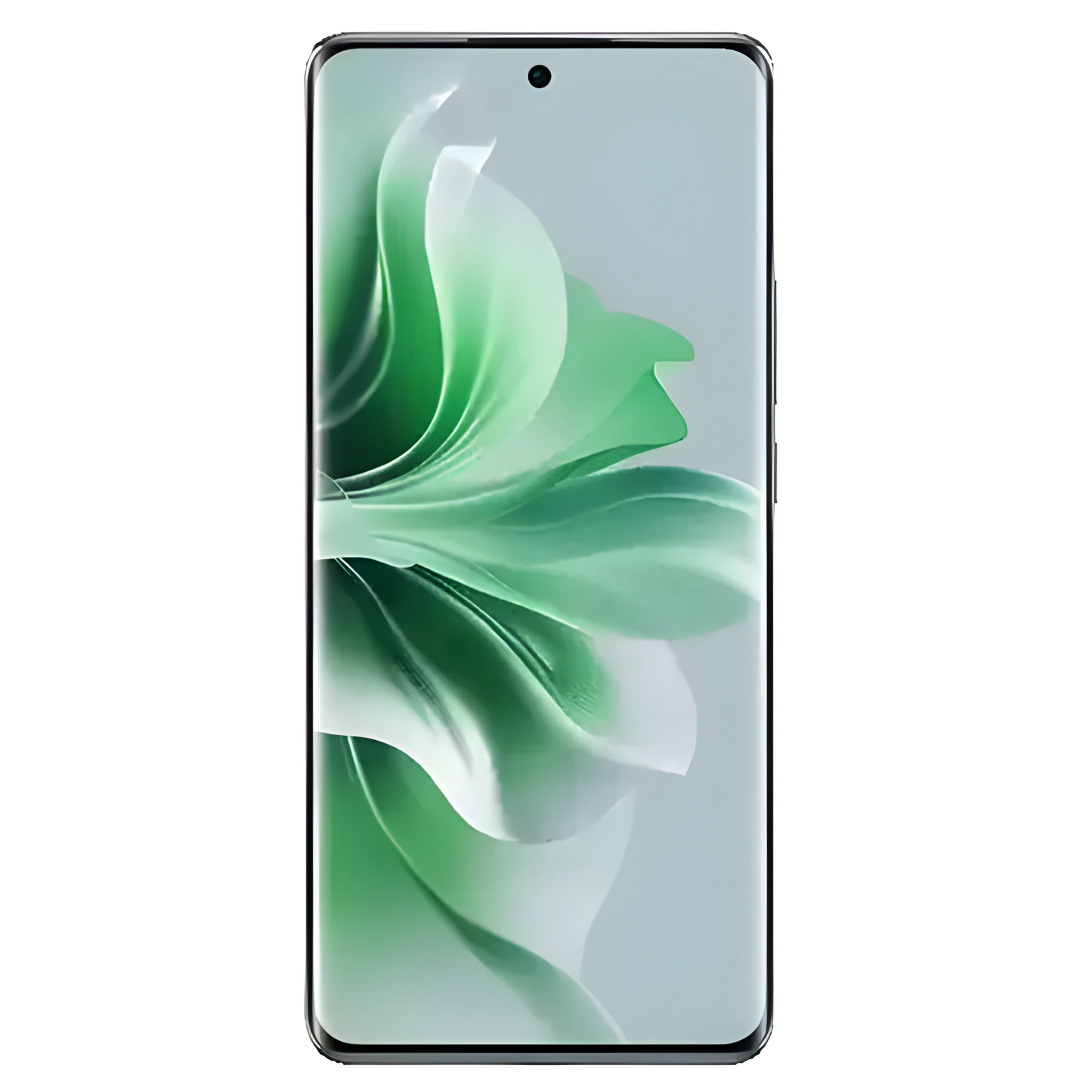 Oppo Reno 11 5G Dual SIM Green 12GB RAM 256GB Storage With Official Warranty